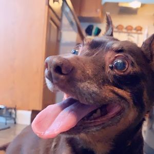 Meet your Posher, Danielle